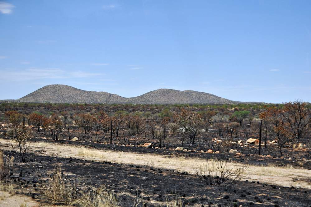 2011-11-12_13-55-02.jpg - Fahrt in das Kaokoland zum Volk der Himba (Es hatte gebrannt. In dieser Gegend beginnt auch ein Zaun, der Angola von Namibia trennt. Er soll das Übertragen von Tierkrankheiten der Rinder aus Angola verhindern.)