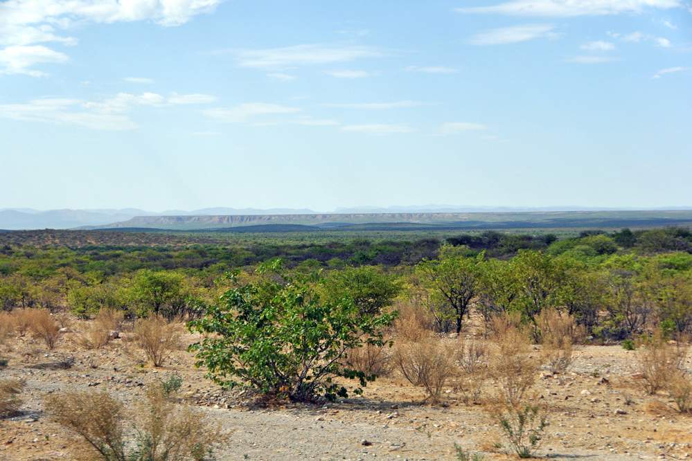 2011-11-12_15-51-36.jpg - Fahrt in das Kaokoland zum Volk der Himba