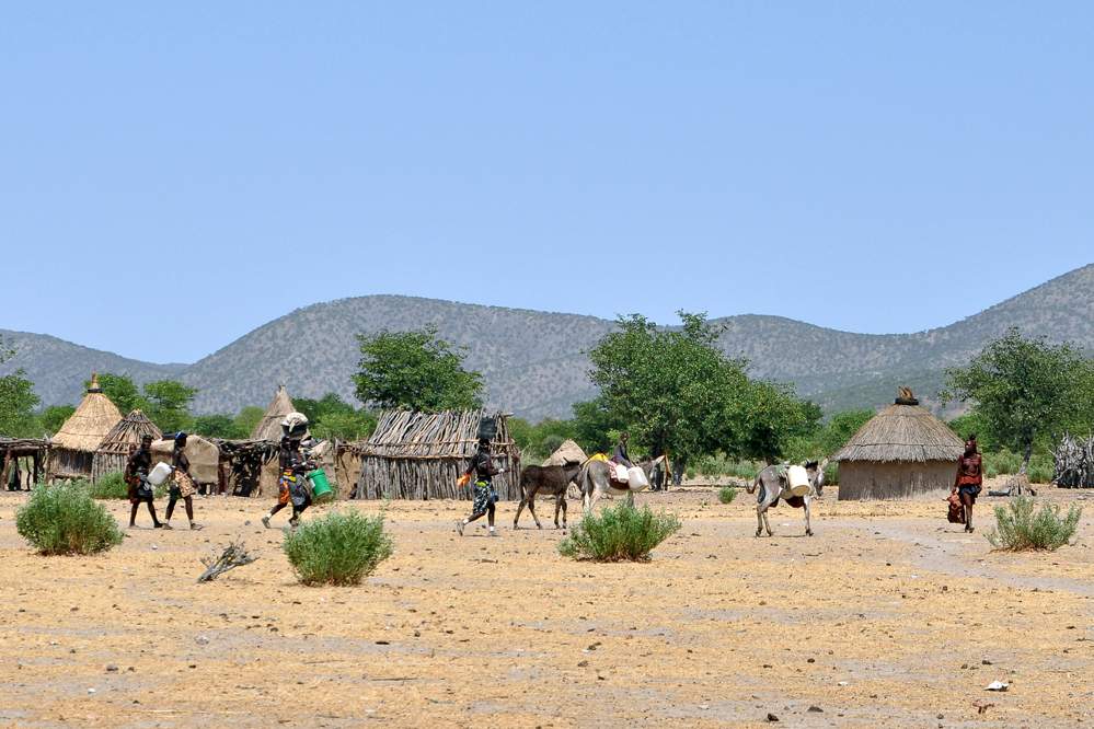 2011-11-13_11-03-52.jpg - Im Dorf der Himba (Rückkehr vom Wasserholen; die sehr schwarzen Frauen sind Flüchtlinge aus Angola, die hier ein neues Zuhause gefunden haben.)