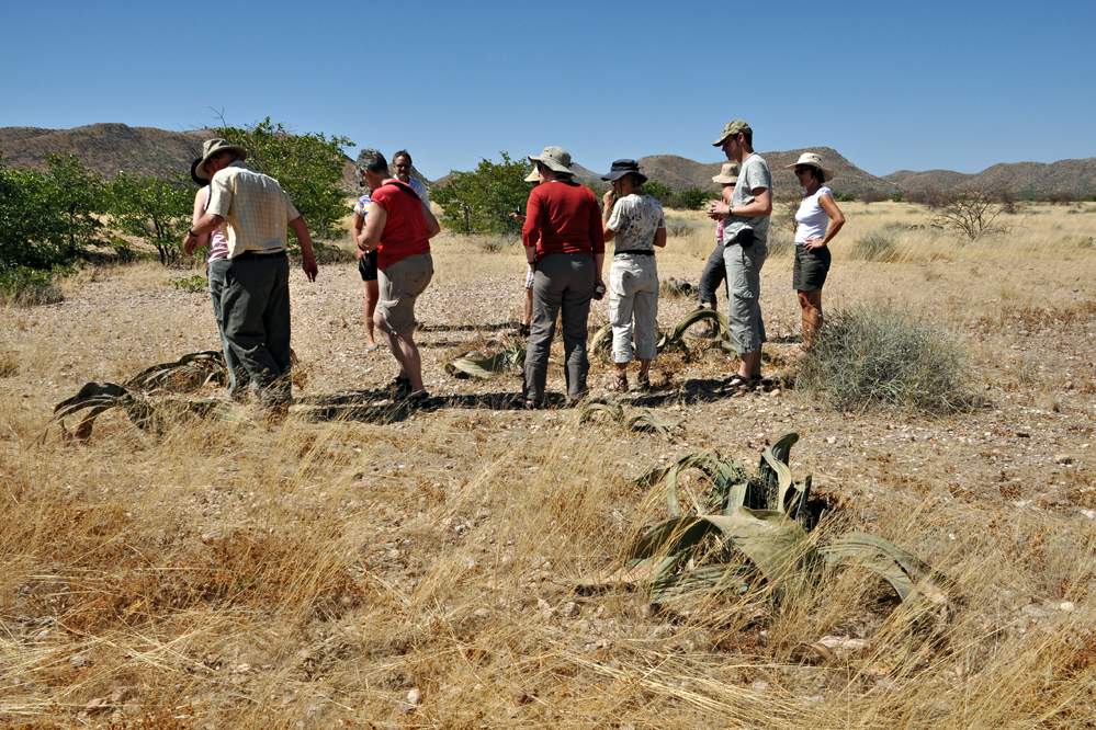 2011-11-14_15-17-04.jpg - Weiterfahrt zum "Versteinerten Wald" (Welwitschias)