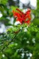 2007-10-20_08-25-36