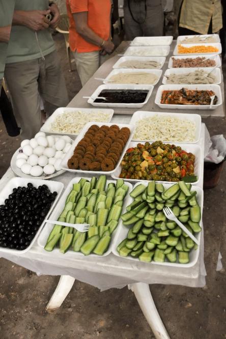 101012-132536.jpg - Vor der Weiterfahrt nach Hama hatte unser syrischer Reisebegleiter für uns ein leckeres Mittagessen vorbereitet.