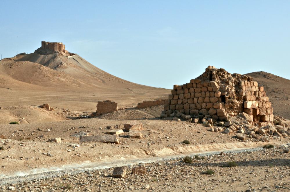 101014-084700.jpg - Palmyra